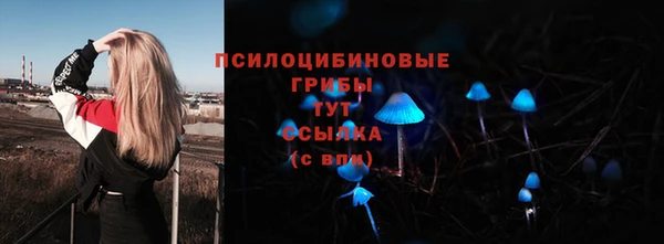 соль ск Алексеевка