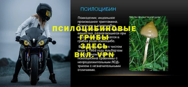 гидра Новокубанск