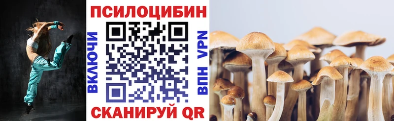 darknet клад  купить наркотики сайты  omg онион  Череповец  Галлюциногенные грибы Psilocybine cubensis 
